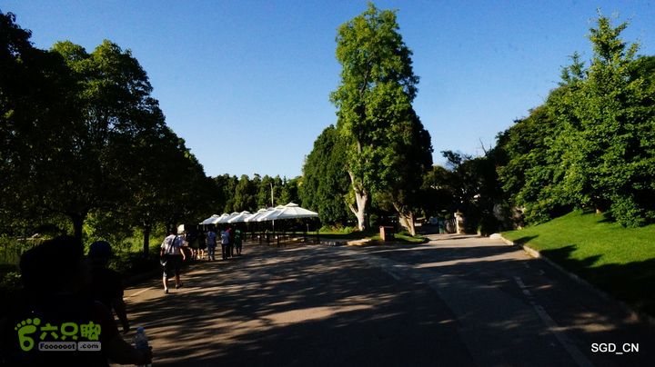 云南第五天:④楚雄_石林  DSC08146