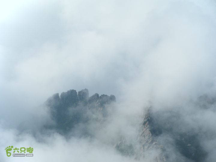 芦芽山第二天：石佛寺—芦芽山顶—太子庙往返—马伦草原—松林—无名草甸—大庙村—三岔路口DSCF5806
