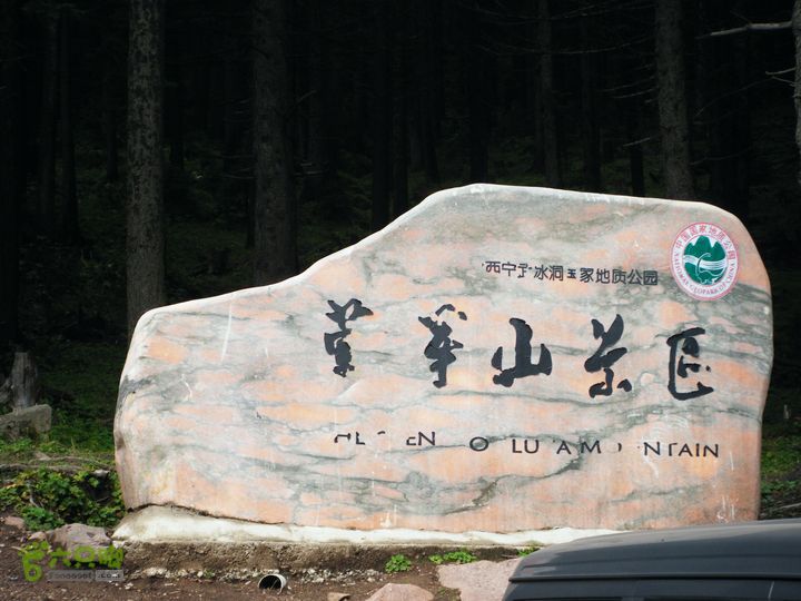 芦芽山第二天：石佛寺—芦芽山顶—太子庙往返—马伦草原—松林—无名草甸—大庙村—三岔路口DSCF5815