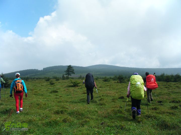 芦芽山第二天：石佛寺—芦芽山顶—太子庙往返—马伦草原—松林—无名草甸—大庙村—三岔路口DSCF5837
