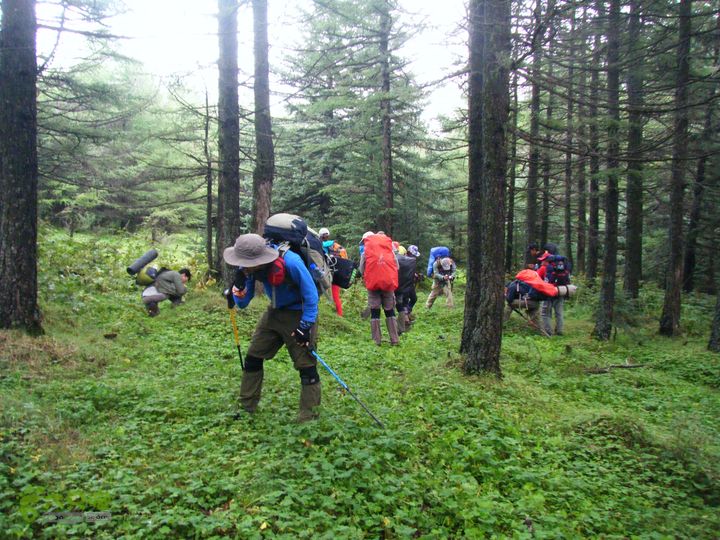 芦芽山第二天：石佛寺—芦芽山顶—太子庙往返—马伦草原—松林—无名草甸—大庙村—三岔路口无名松林