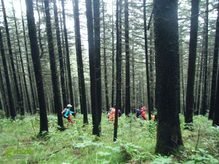 芦芽山第二天：石佛寺—芦芽山顶—太子庙往返—马伦草原—松林—无名草甸—大庙村—三岔路口DSCF5856