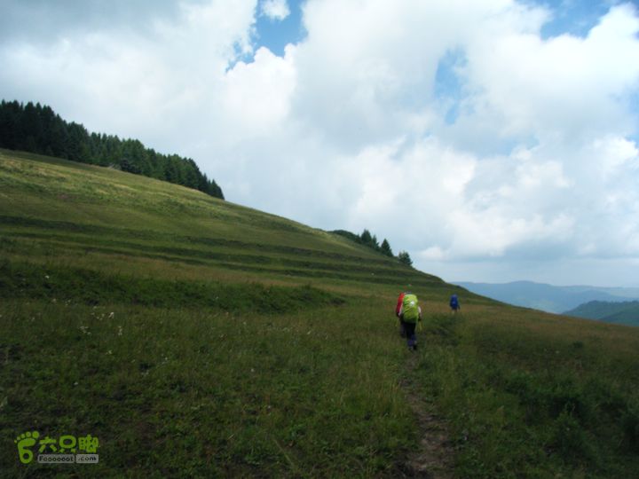 芦芽山第二天：石佛寺—芦芽山顶—太子庙往返—马伦草原—松林—无名草甸—大庙村—三岔路口DSCF5869