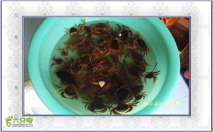 宜昌拉风俱乐部骑行天王寺一罗家溪IMAG2410_nEO_IMG