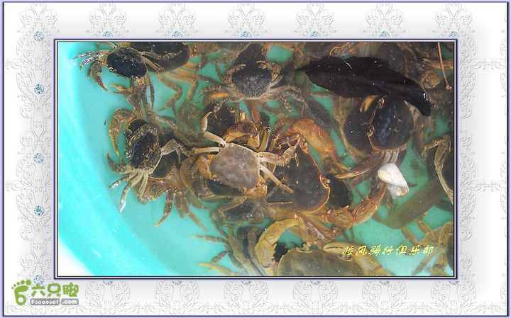 宜昌拉风俱乐部骑行天王寺一罗家溪IMAG2411_nEO_IMG