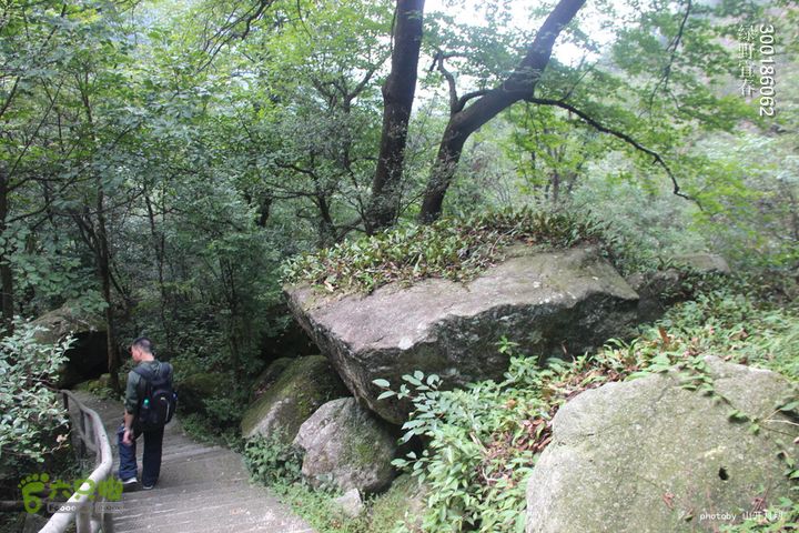  塘家山上到青云栈道再到十八排（明月山武功山系列线路）我们的绿野生活 15_22_2888