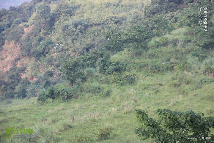  塘家山上到青云栈道再到十八排（明月山武功山系列线路）我们的绿野生活 17_28_3409