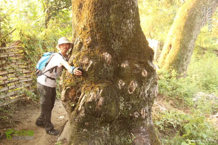  塘家山上到青云栈道再到十八排（明月山武功山系列线路）我们的绿野生活 17_48_2416