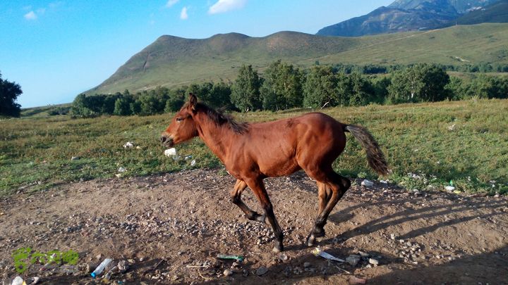 灵山风景区－东灵山主峰往返照片 168