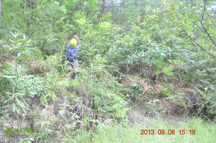 环永康三渡溪三条山脊前面走的是小路，到此向右向山脊挺进了