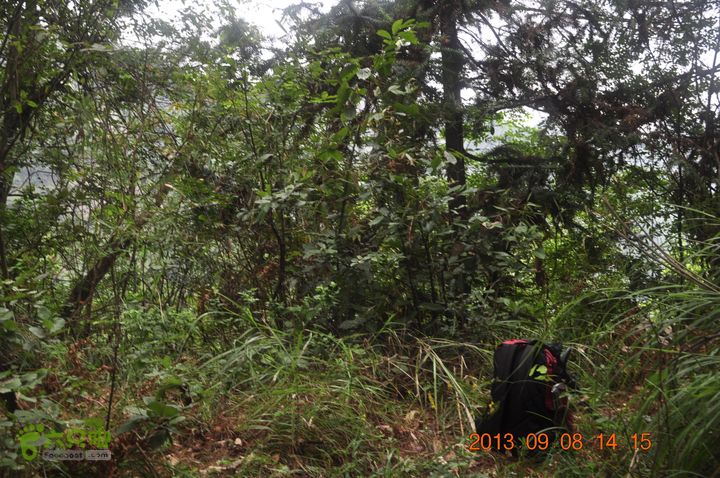 环永康三渡溪三条山脊第二山脊下山后向右（包方向）走小路了