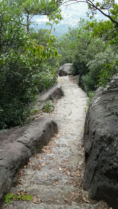 樟林古道-古寺西来院-白云洞-埠兴村2013-09-08 14:04:48