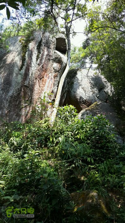 樟林古道-古寺西来院-白云洞-埠兴村2013-09-08 14:34:54