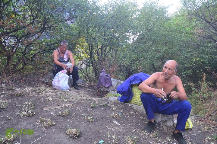 骑行高冠峪徒步大寺一组DSC_0167