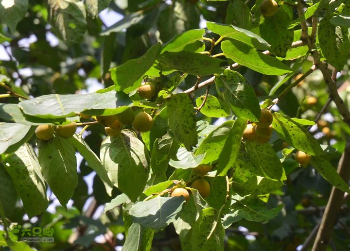 骑行高冠峪徒步大寺一组DSC_0149