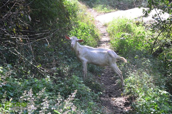 骑行高冠峪徒步大寺一组DSC_0131