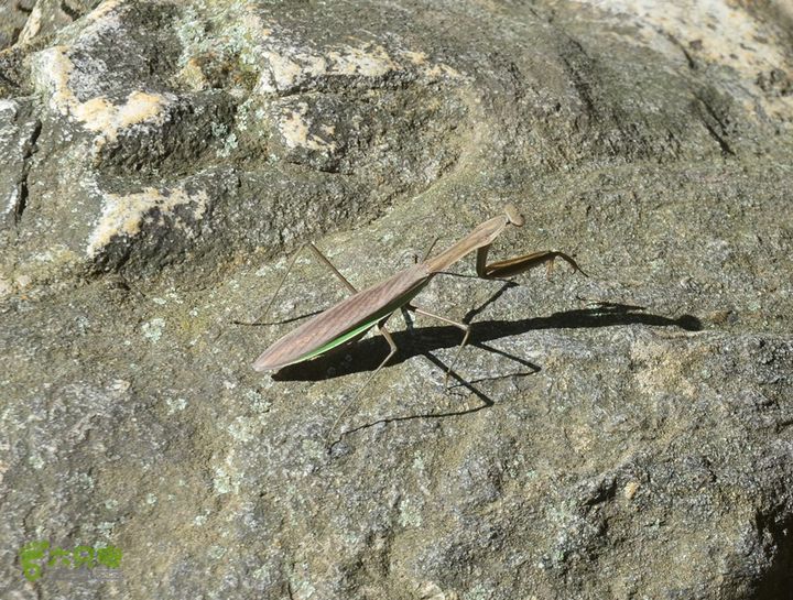 骑行高冠峪徒步大寺一组DSC_0080