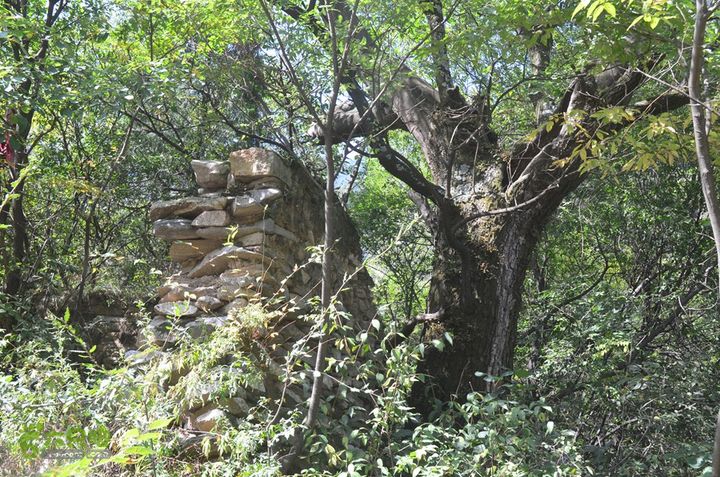 骑行高冠峪徒步大寺一组DSC_0078
