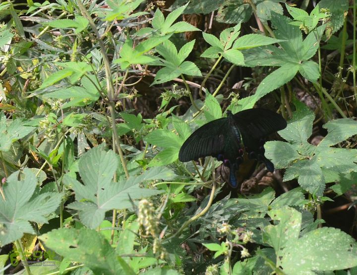 骑行高冠峪徒步大寺一组DSC_0071