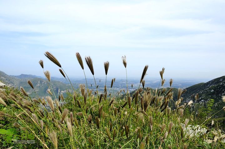 一渡-三皇山-一渡环形穿越_DSC0753
