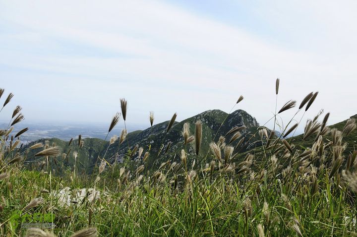 一渡-三皇山-一渡环形穿越_DSC0756