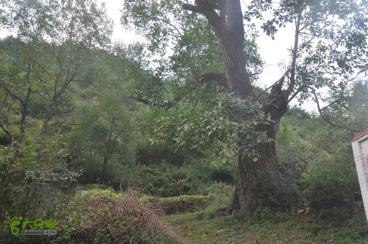 中秋节骑行华县洛南丹凤武关商州DSC_0113