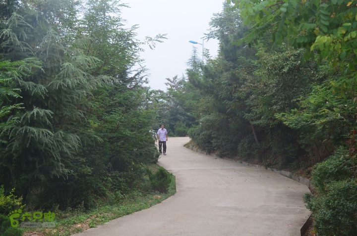 中秋节骑行华县洛南丹凤武关商州DSC_0164