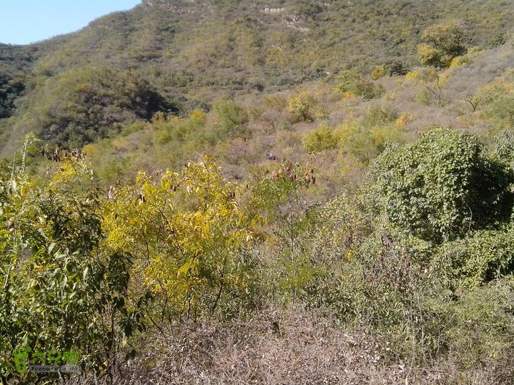 鲁家滩…谷积山…北车营穿越IMG_20131010_104756