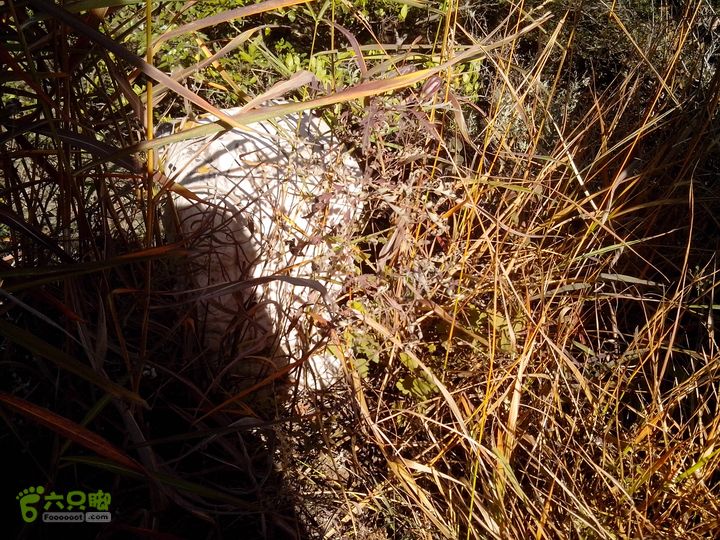 鲁家滩…谷积山…北车营穿越IMG_20131010_105957