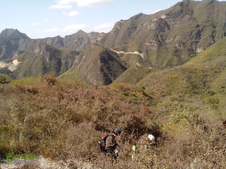 鲁家滩…谷积山…北车营穿越IMG_20131010_112622