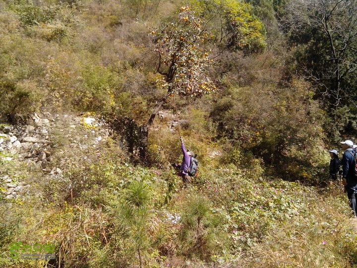 鲁家滩…谷积山…北车营穿越IMG_20131010_121244