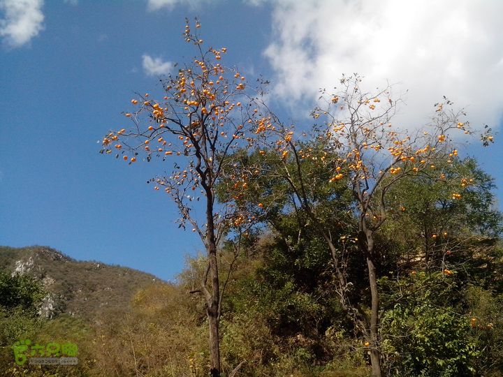 鲁家滩…谷积山…北车营穿越IMG_20131010_125516