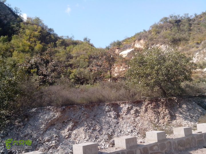 鲁家滩…谷积山…北车营穿越IMG_20131010_131220