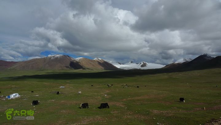 2013 西藏游记全记录 西宁-格尔木-唐古拉-拉萨-林芝-德钦-丽江-成都P1080797