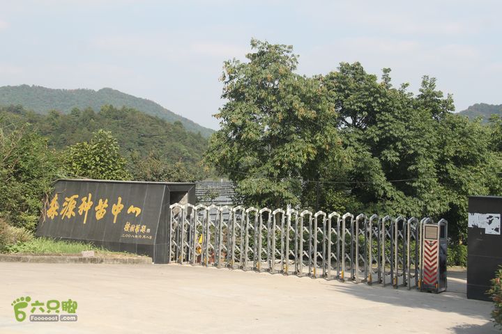 20131013宁波樟村毛岙大雷横街10公里穿越森源种苗中心为宁波做出了贡献