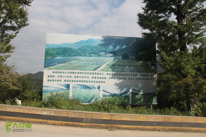 20131013宁波樟村毛岙大雷横街10公里穿越中心介绍