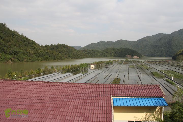 20131013宁波樟村毛岙大雷横街10公里穿越被水淹没的情况