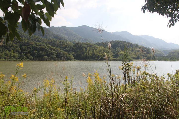 20131013宁波樟村毛岙大雷横街10公里穿越山色水色都美，我们在此吃中饭