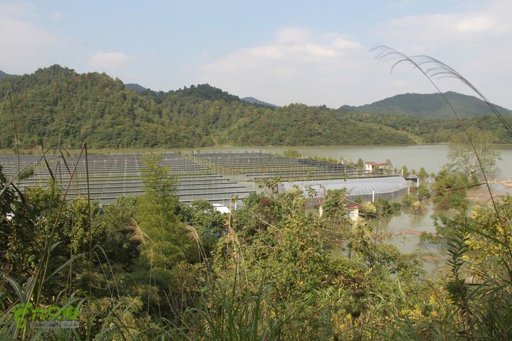 20131013宁波樟村毛岙大雷横街10公里穿越这里严重被淹，但宁波水患严重，不能泄洪