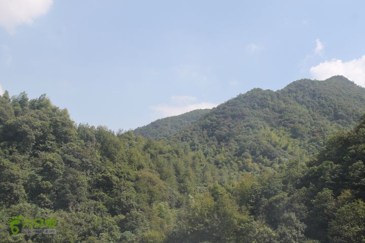 20131013宁波樟村毛岙大雷横街10公里穿越山上风光