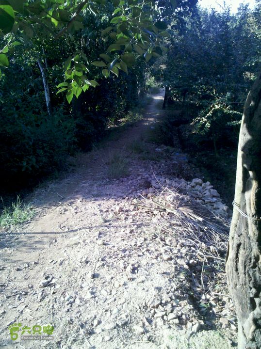 穹窿山北—南—米堆山—矿洞—谭山小路