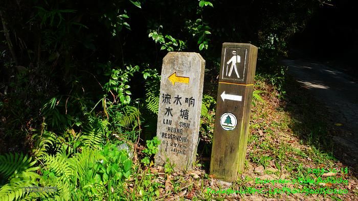 2013 10 13 重陽節 - 四個半登P1580410