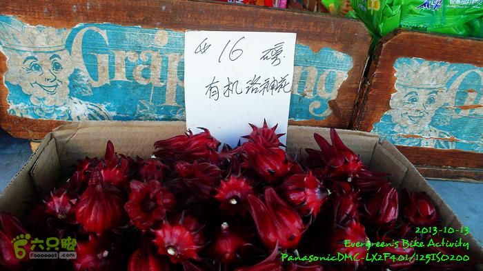 2013 10 13 重陽節 - 四個半登P1580427