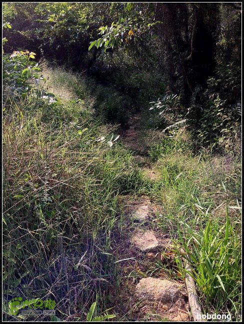 珠海凤凰山_东坑A线B线之间IMG_4324a