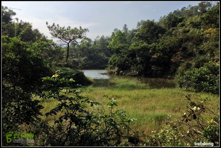 珠海凤凰山_东坑A线B线之间库尾