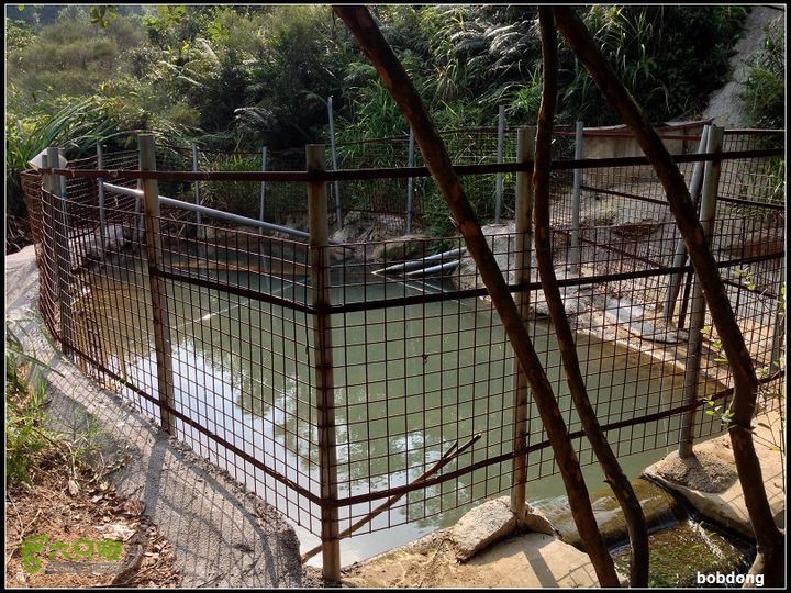 珠海凤凰山_东坑A线B线之间IMG_4330a