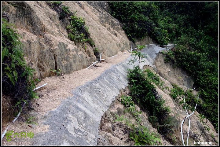 珠海凤凰山_东坑A线B线之间IMG_4338a