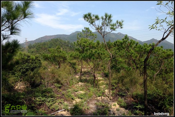 珠海凤凰山_东坑A线B线之间路况