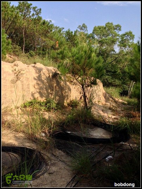 珠海凤凰山_东坑A线B线之间IMG_4353a