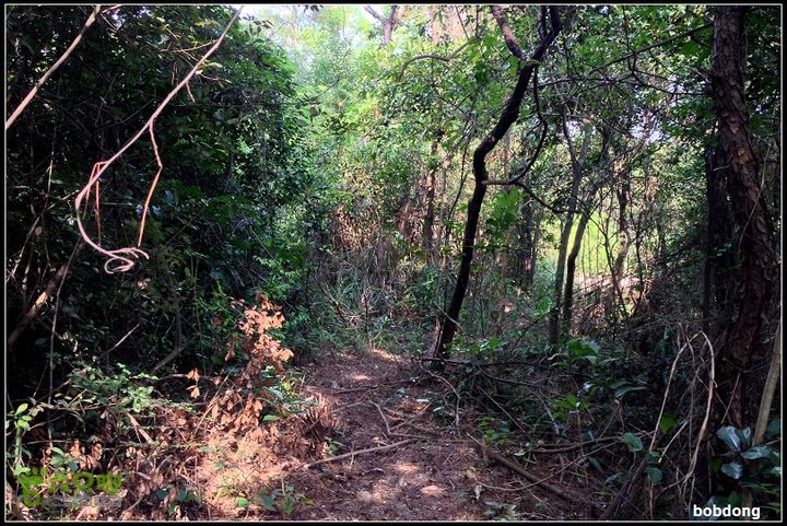 珠海凤凰山_东坑A线B线之间路况